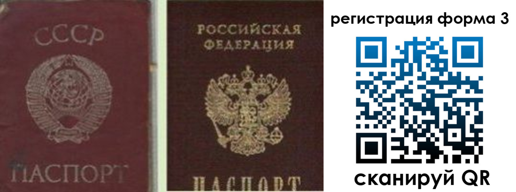 прописка для школы в Видном